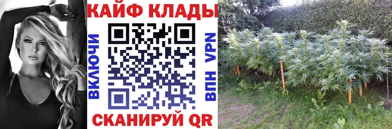 Где купить Чусовой Cocaine  Бошки Шишки  Галлюциногенные грибы  Амфетамин  Гашиш  A-PVP  Мефедрон 