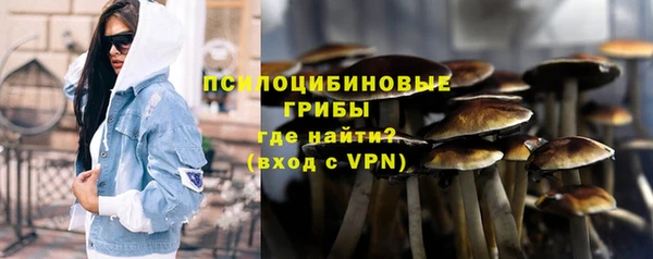гидропоника Алзамай