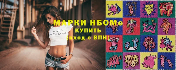 гидропоника Алзамай