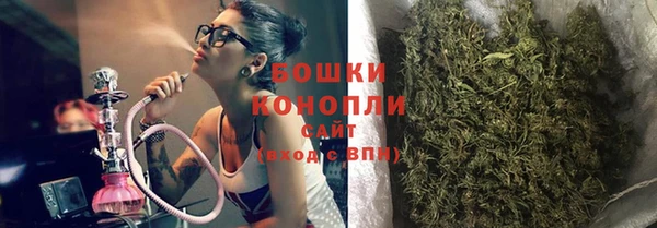 гидропоника Алзамай